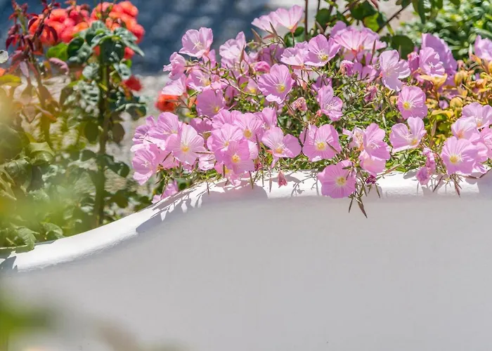 Lejlighed Orama Milos