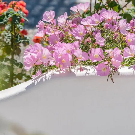 Apartmán Orama Milos